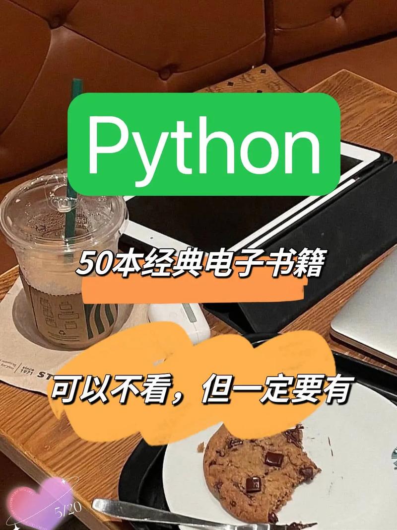 python是什么(python能做什么)