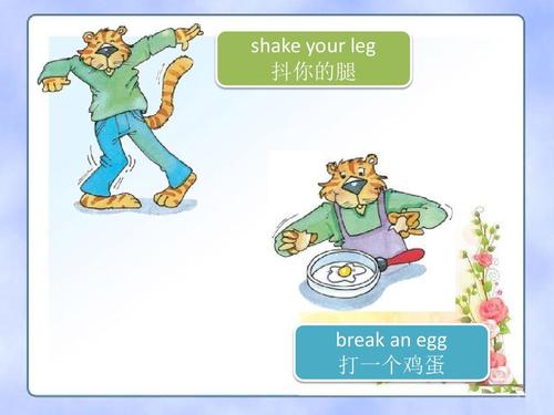 body怎么读(leg怎么读)