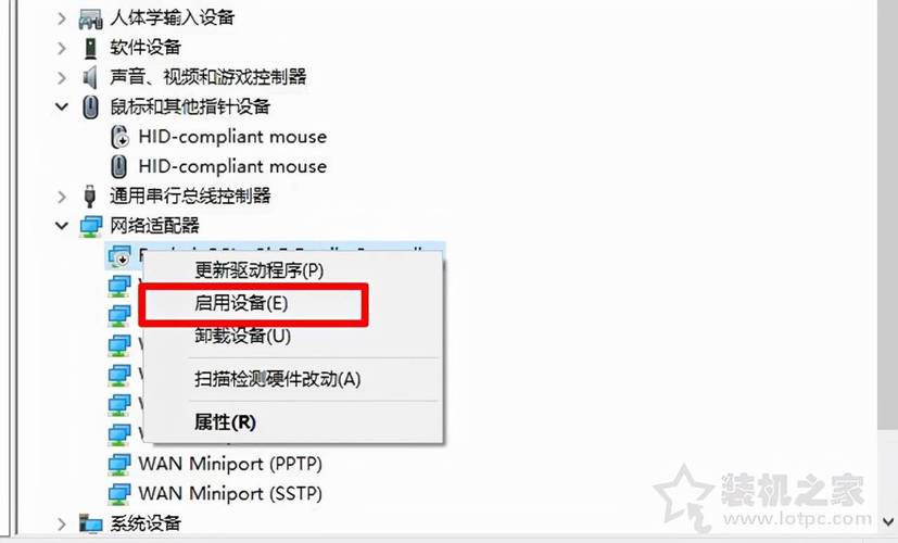 win10适配器wlan不见了(windows10适配器没有wifi)
