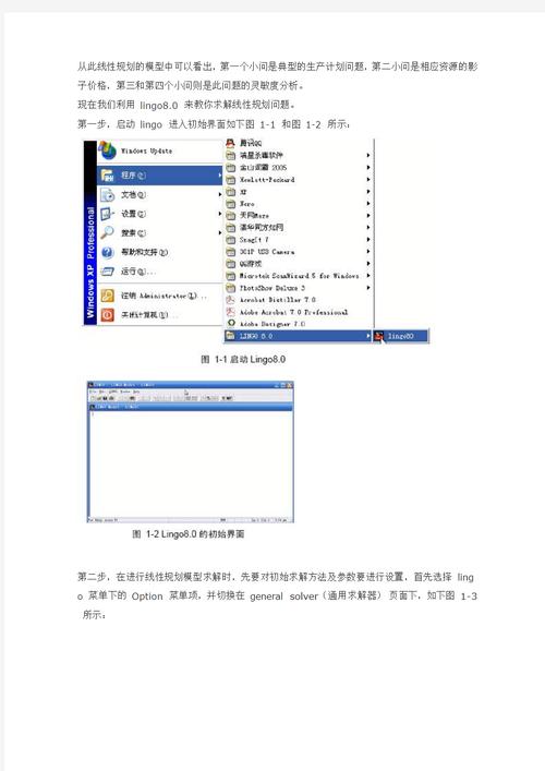 lindo软件使用教程(lindo软件应用好处)