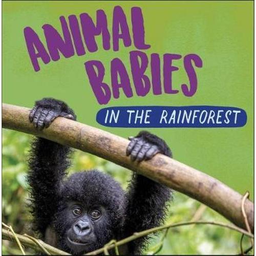 forest怎么读(rainforest怎么读)