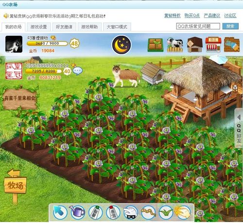 qq农场手机网页版(原来的qq农场去哪里了)