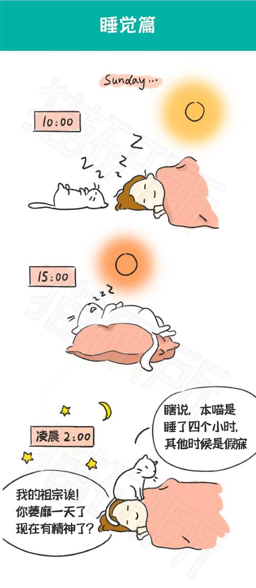 月亮不睡我不睡下一句(月亮不睡我不睡,我是秃头小宝贝)