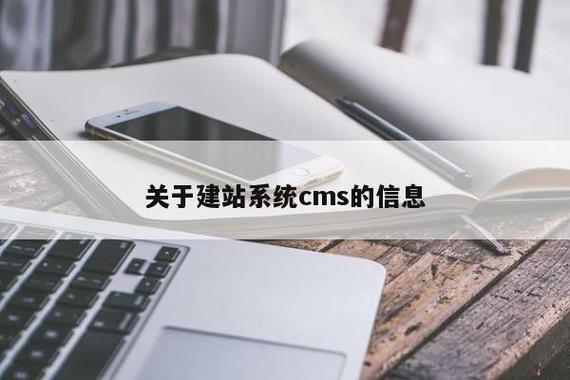 cms是什么工作(cms是什么app)