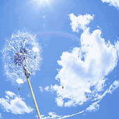 今年最流行的壁纸(2023年最新动态壁纸)