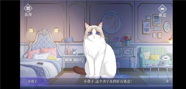 猫之宿约者攻略：第一章第二节及第二章过关技巧，教你轻松收藏