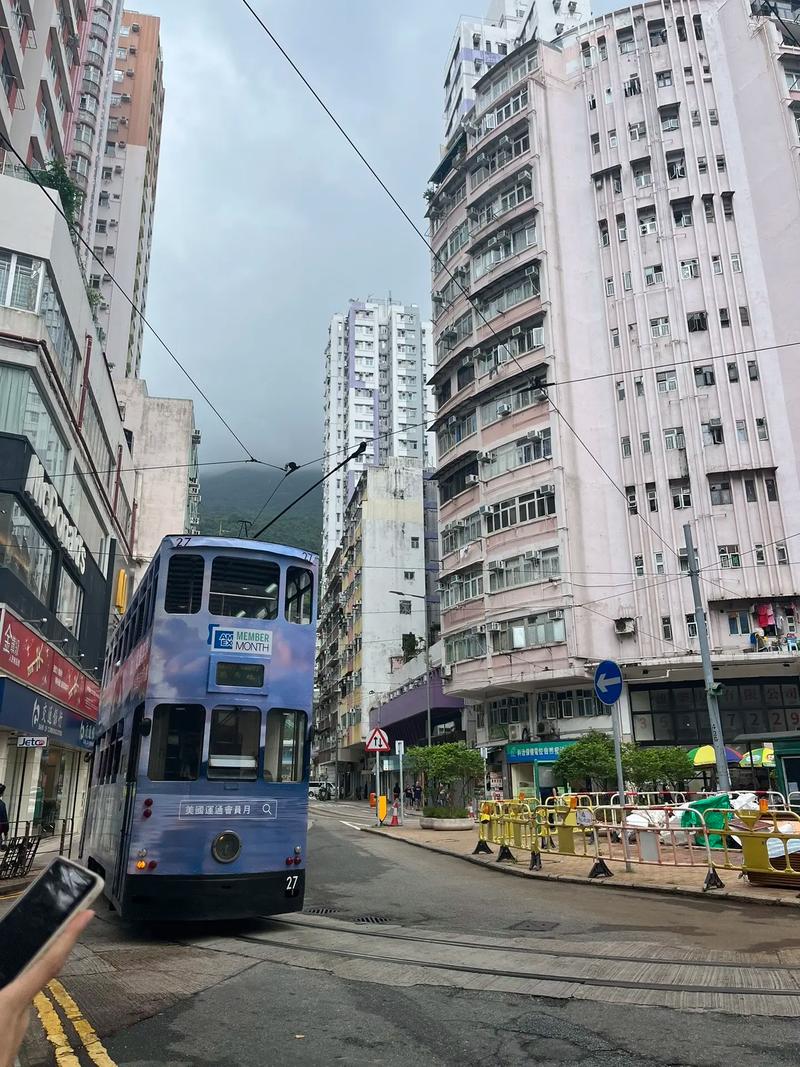 field trip是什么意思(field,trip)