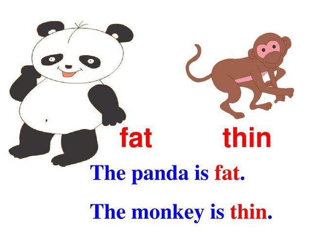 height怎么读(thin怎么读)