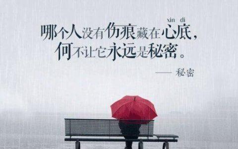 qq空间电脑版(qq空间说说推荐)