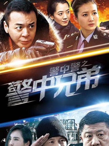 警察抓小偷电视剧全集播放(警察抓小偷电视剧在线播放)