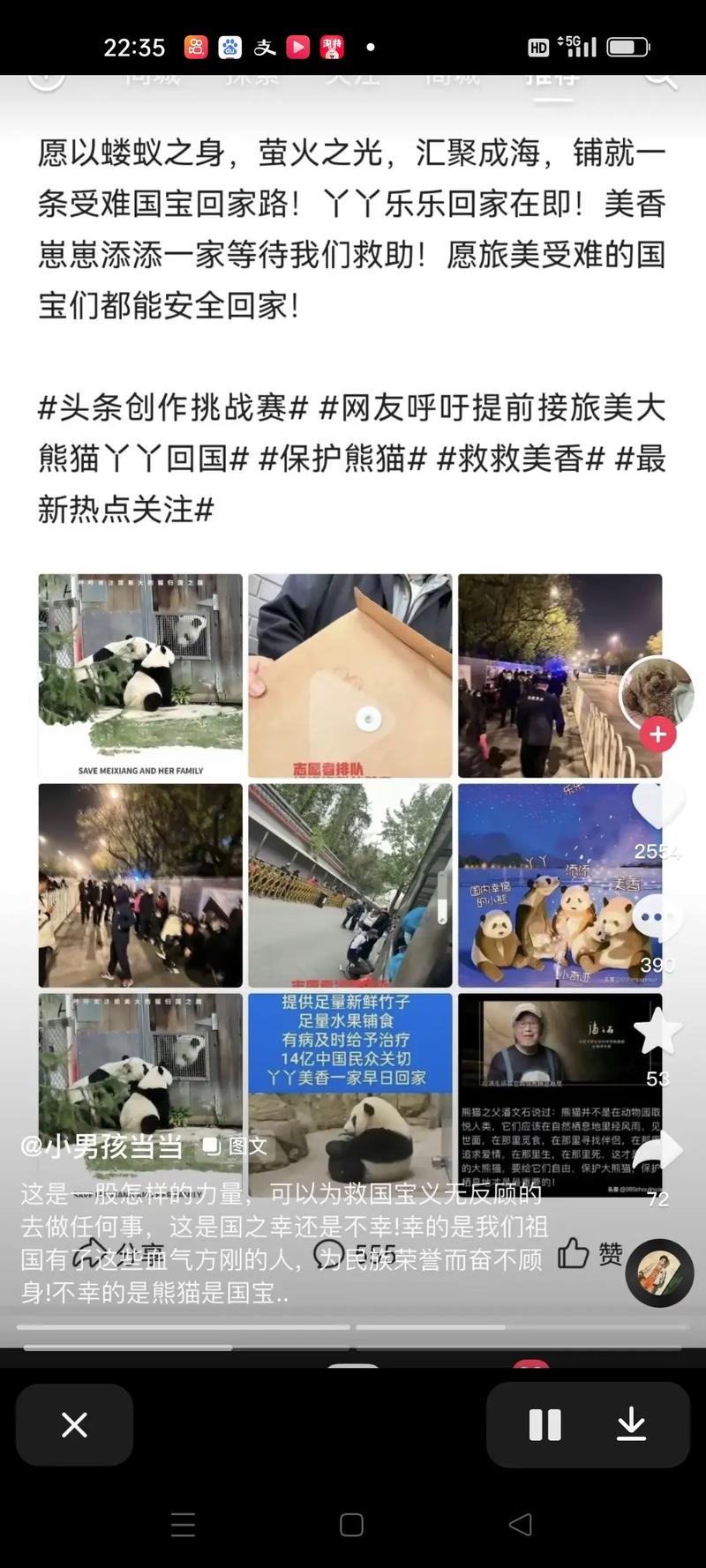 不占空间的手机浏览器(熊猫人可以不选阵营吗)