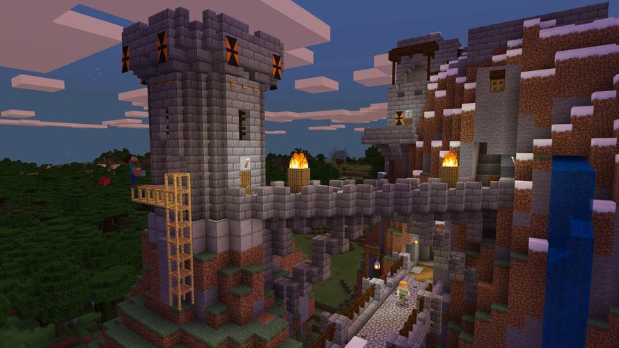 windowsvpsoffline性x(暴躁老外玩minecraft)