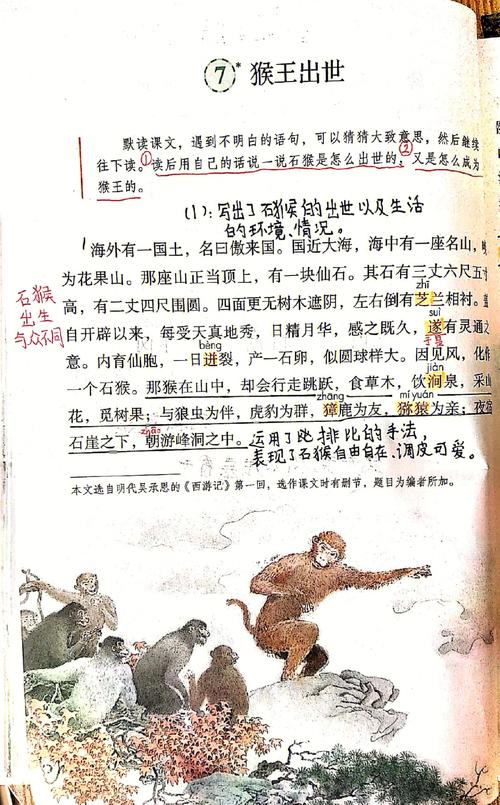 猴王出世阅读感想20字(梦幻西游猴王副本收进度)