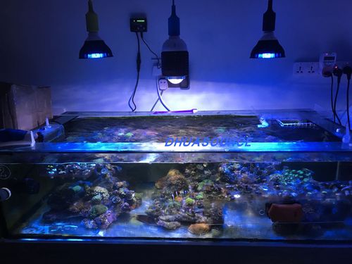 marineaquarium3(marineaquarium3怎么卸载)
