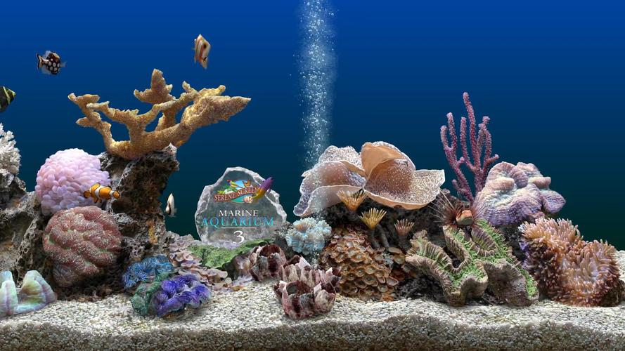marineaquarium3(marineaquarium3怎么卸载)