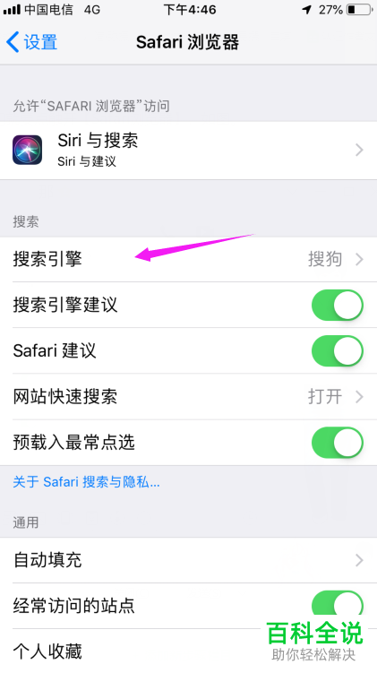 safari浏览器怎么设置(iphone浏览器偏好设置在哪里)
