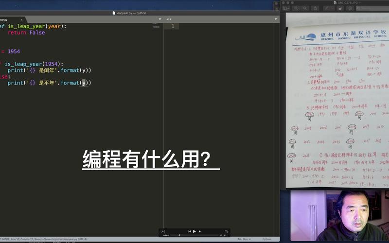 初学编程先学哪个(初学编程先学什么)