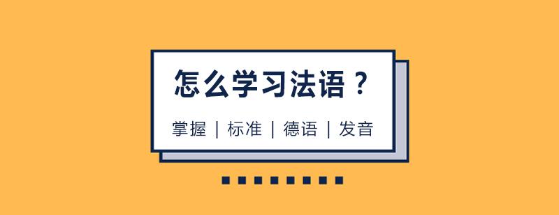 初学者怎样看懂语言(学语言从哪里开始)