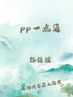 pp一点通是什么(一点通课件)