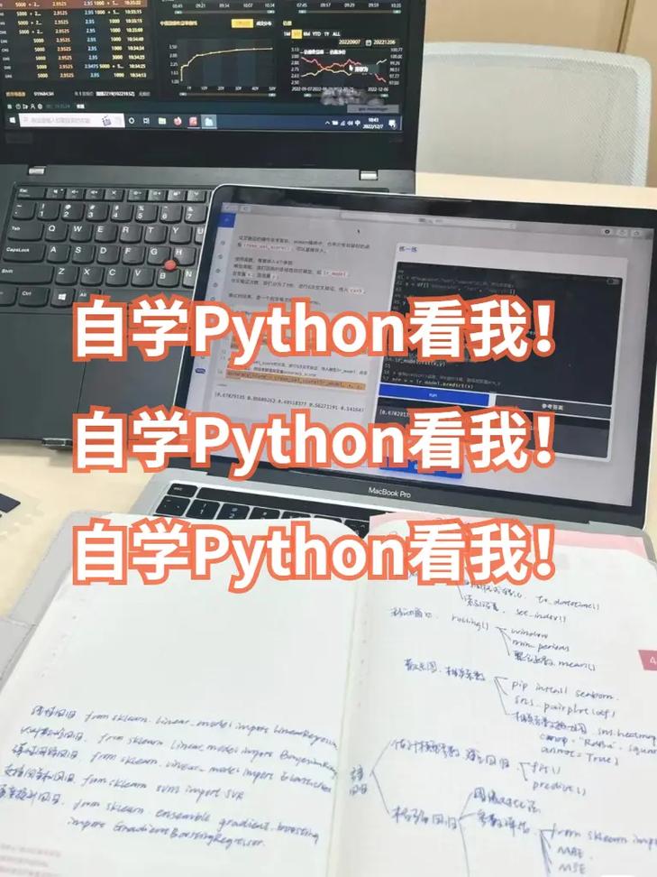 python第一步学什么(python入门先学什么)