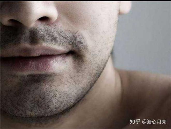 哪个软件能有逼真胡子加(可以加胡子的软件)