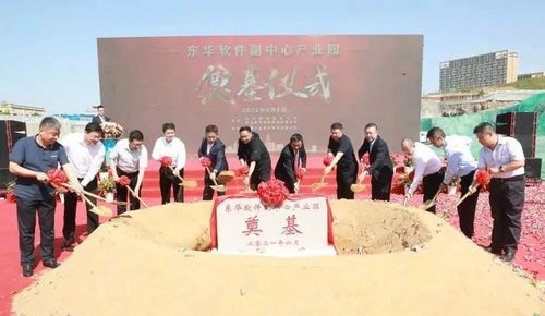 东华软件房地产(东华软件项目)
