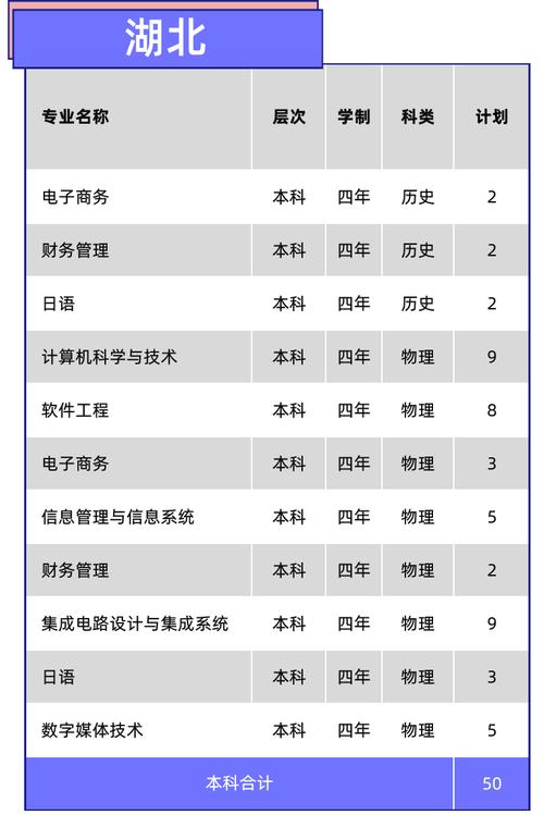 东软公司软件开发计划(东软公司软件开发计划是什么)