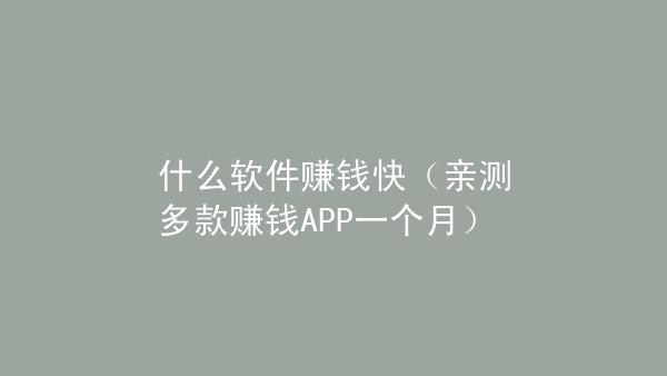 做软件要经过什么过程(做软件的靠什么赚钱)